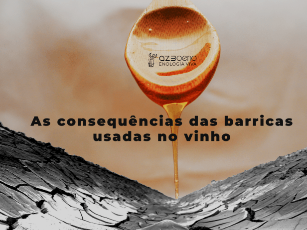 As consequências das barricas usadas no vinho