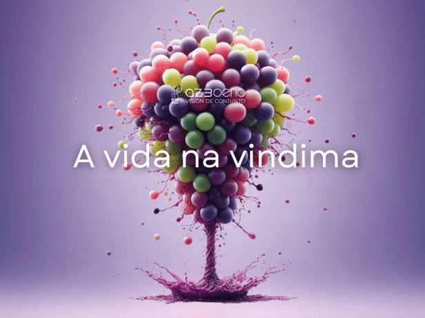 A vida na vindima