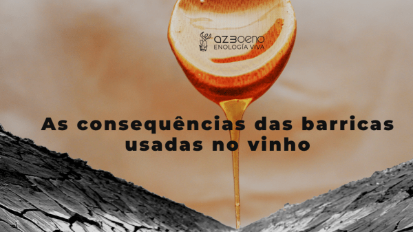 As consequências das barricas usadas no vinho