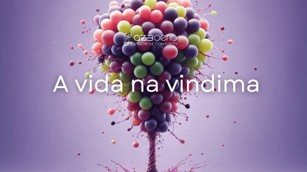 A vida na vindima