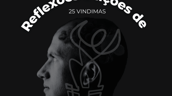 Reflexões e lições de 25 vindimas