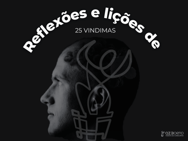 Reflexões e lições de 25 vindimas